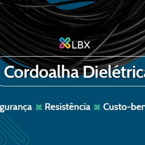 LBX - S3 - BLOG 2 - cordoalha